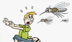 天津除虫公司告诉您越冬的蚊虫藏在哪